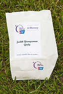 034-RFL-MB10