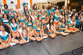 DolCheer-97691