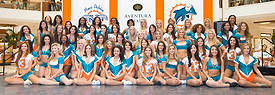 DolCheer-97693