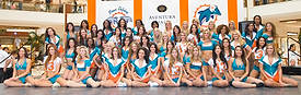 DolCheer-97696