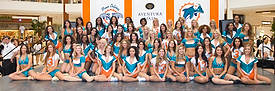 DolCheer-97697