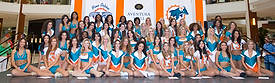 DolCheer-97711
