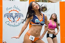 DolCheer-95519
