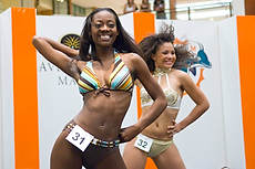 DolCheer-95563