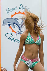 DolCheer-95657