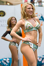 DolCheer-95726