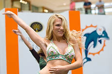 DolCheer-95728
