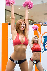 DolCheer-97022