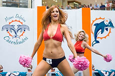 DolCheer-97023