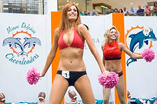 DolCheer-97024