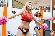 DolCheer-97027