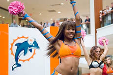 DolCheer-97036