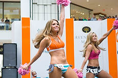 DolCheer-97041
