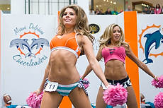 DolCheer-97044