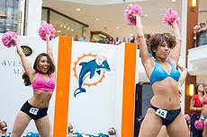 DolCheer-97060