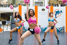 DolCheer-97072