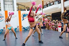 DolCheer-97082