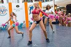 DolCheer-97086