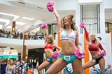 DolCheer-97095