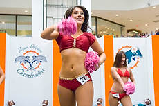 DolCheer-97098