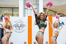 DolCheer-97272