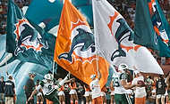 74-Dolphins-Jets-3467
