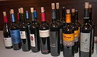 FairchildPalms-5757 - Fine Wines at Fairchild