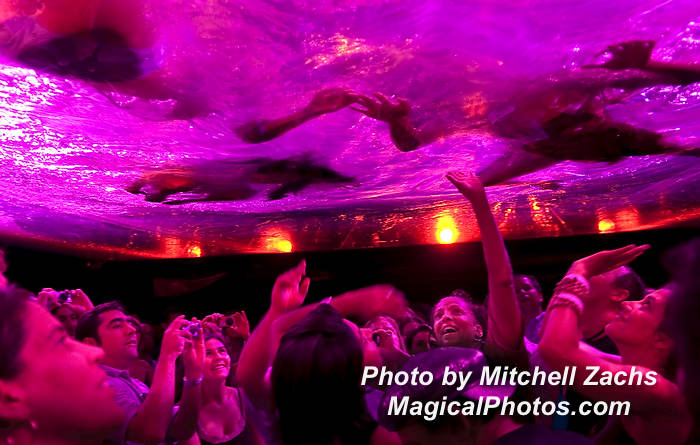348-FuerzaBrutaOpeningNight.JPG