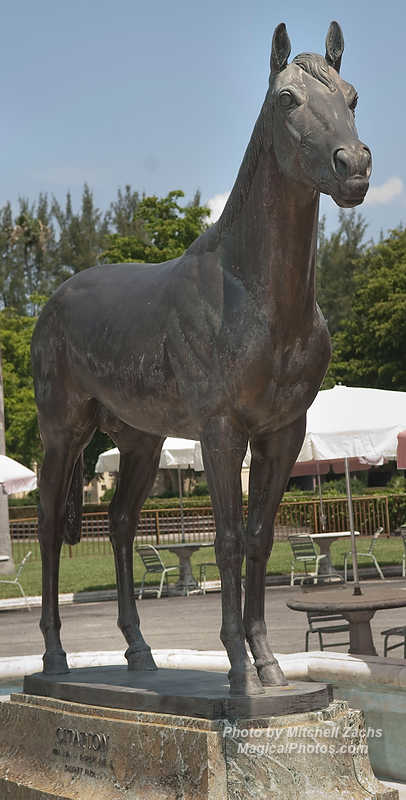 GovHialeahPark-3915.JPG