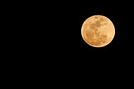 FIU-710-WF105857 - Moon over Miami Beach at the Grand Tasting Village of the 2010 South Beach Wine & Food Festival