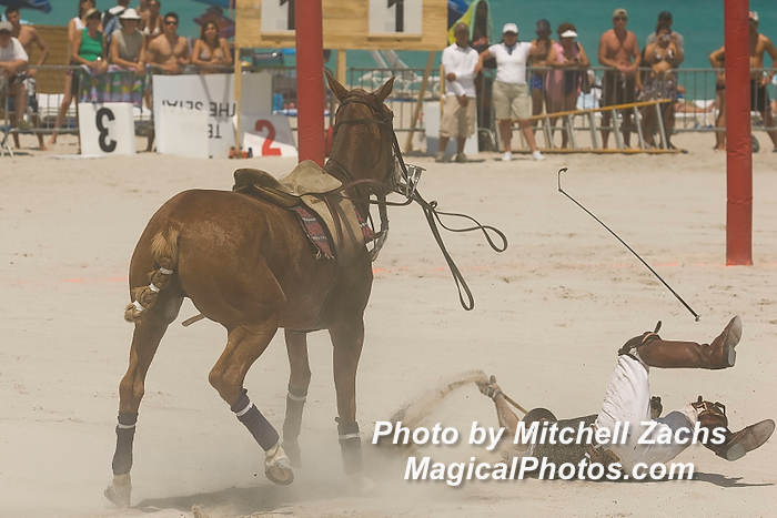 Polo08-3329.JPG