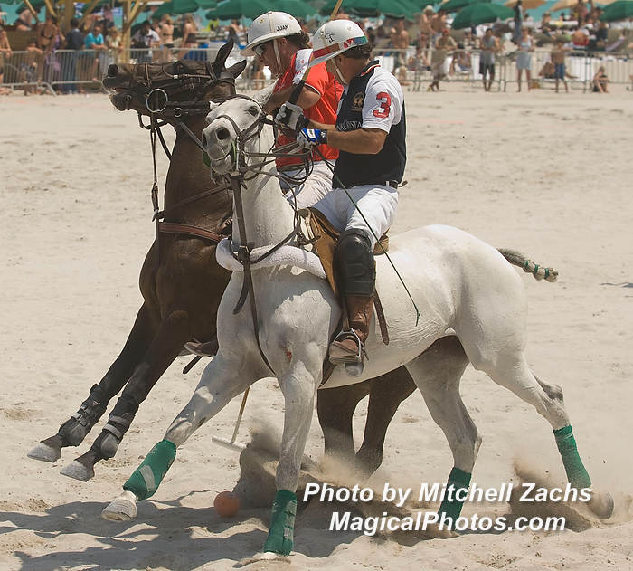 Polo08-3433.JPG