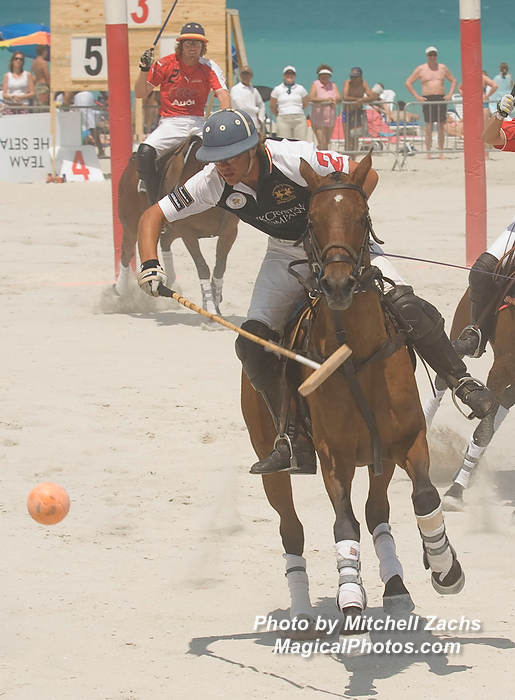 Polo08-3448.JPG