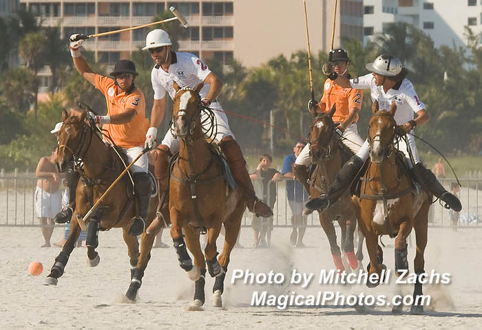 Polo08-4548.JPG
