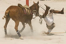 Polo08-3328