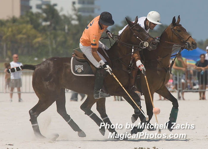 Polo08-4878.JPG