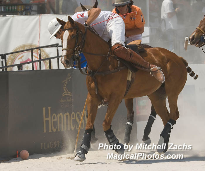 Polo08-4966.JPG