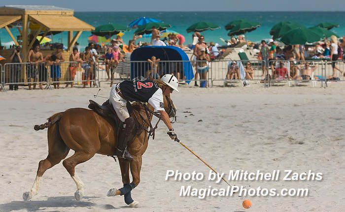 Polo08-5340.JPG