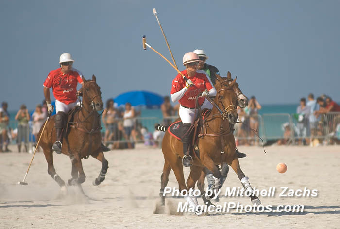 Polo08-5451.JPG