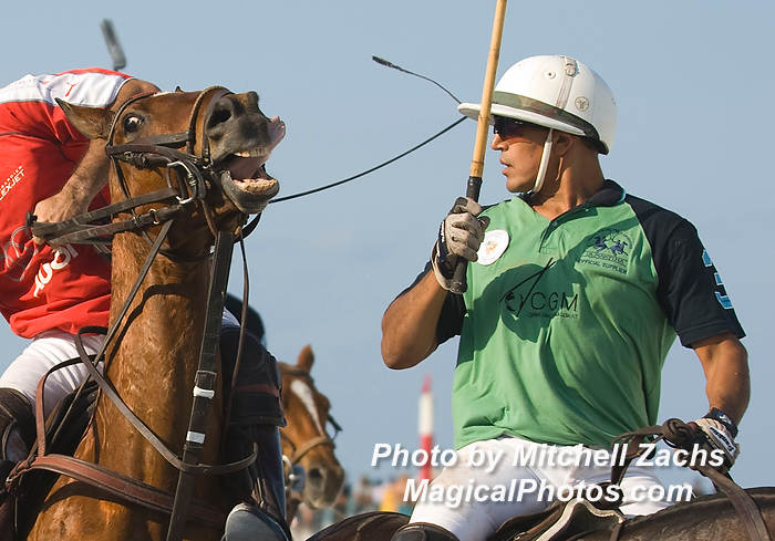 Polo08-5609.JPG