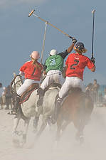 Polo08-5562<br>