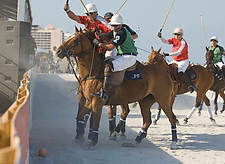 Polo08-5630<br>
