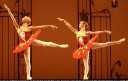 323_mcb_showcase