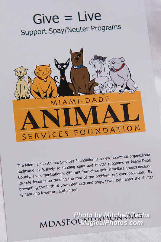 001-MDAS_Foundation.JPG