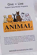 001-MDAS_Foundation