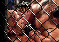 033-MMA-6857