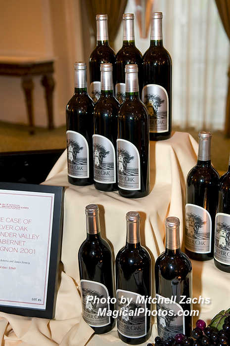 NWS_LoveGala09-0117283.JPG