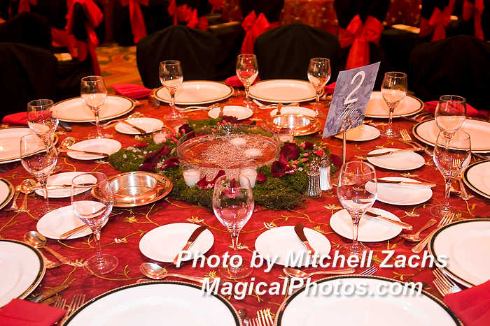 NWS_LoveGala09-0217326.JPG