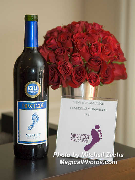 NWS_LoveGala09-0360577.JPG