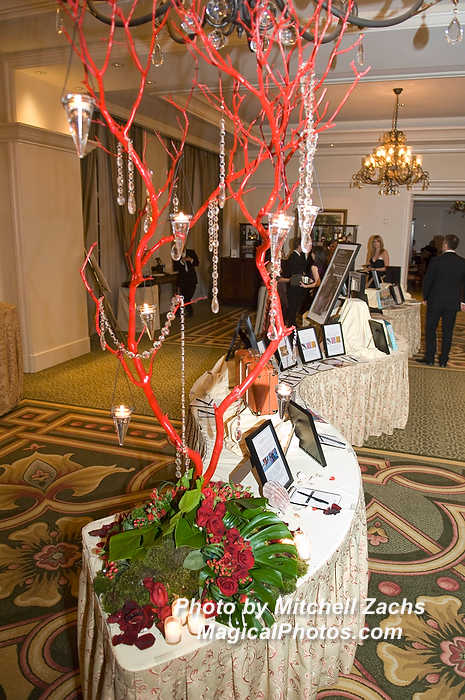 NWS_LoveGala09-0430594.JPG